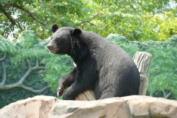 Date de sortie de red dead redemption 3 : les fans s'impatientent